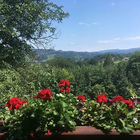 Family-farm-koppin-gady * Sankt Johann im Saggautal