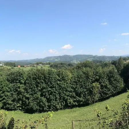 Family-farm-koppin-gady Sankt Johann im Saggautal